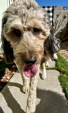 Ethel right after Archie and Marty arrived